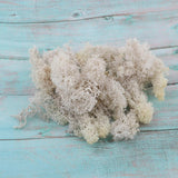 Max 500ML Model Sand Table Grass Vegetation for Simulation Scenery White