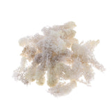 Max 500ML Model Sand Table Grass Vegetation for Simulation Scenery White