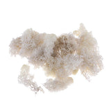 Max 500ML Model Sand Table Grass Vegetation for Simulation Scenery White