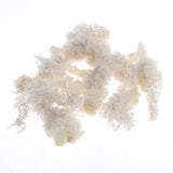Max 500ML Model Sand Table Grass Vegetation for Simulation Scenery White