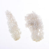 Max 500ML Model Sand Table Grass Vegetation for Simulation Scenery White