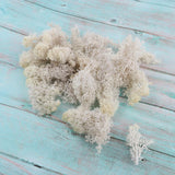 Max 500ML Model Sand Table Grass Vegetation for Simulation Scenery White