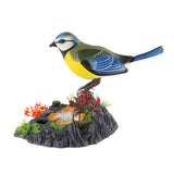 Max Singing Chirping Bird Toy Realistic Sounds & Movements  Sound Activated Bird