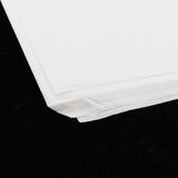 Max Chinese Calligraphy Practice Paper Painting Drawing Art Supplies, 35.5x51cm