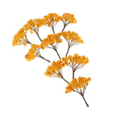 Max 10Pieces Mini Tree Models for Scene Simulation&Sand Table Accs 6.5cm Yellow