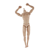 Max Maxb 1/6 Male Figure Body Narrow Shoulder Body 12" Male Body Model Figure 28cm