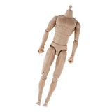 Max Maxb 1/6 Male Figure Body Narrow Shoulder Body 12" Male Body Model Figure 28cm