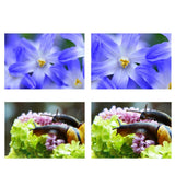Max High Definition Glass Air Macro Lens Filters Close up Lenses for OSMO ACTION