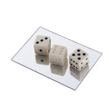 Max Magic Magician Prop Show Toy Pranks Toy Magic Trick Pranks Dice D6 Die Toy