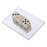 Max Magic Magician Prop Show Toy Pranks Toy Magic Trick Pranks Dice D6 Die Toy