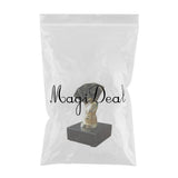 Max Alloy Poker Finger Trophy Winner Award for Casino Tournament Game Golden