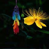 Max Creative Colorful Dream Catcher Pendant Craft Gift Home Car Wall Decoration