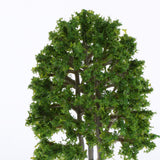 Maxbell 10PCS Plastic Cedar Tree Railway Street Architectural Scenery HO Scale 1:100