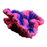 Maxbell Aquarium Mini Artificial Resin Coral Underwater Ornament Fish Tank Decor