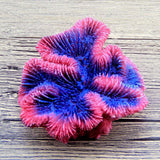 Maxbell Aquarium Mini Artificial Resin Coral Underwater Ornament Fish Tank Decor