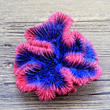 Maxbell Aquarium Mini Artificial Resin Coral Underwater Ornament Fish Tank Decor
