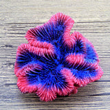 Maxbell Aquarium Mini Artificial Resin Coral Underwater Ornament Fish Tank Decor