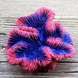 Maxbell Aquarium Mini Artificial Resin Coral Underwater Ornament Fish Tank Decor