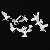 Maxbell 10pcs Mini Pigeon Animal Bird Model Miniature Doll House Fairy Home Decor S