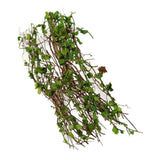 Maxbell Miniature Model Vine Scene Simulated Model of DIY Miniature Scene Material