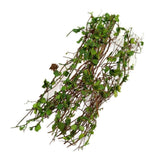 Maxbell Miniature Model Vine Scene Simulated Model of DIY Miniature Scene Material