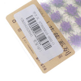 Max Miniature Flower Vegetation Groups Military Model Stage DIY Material, Purple