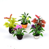 Max 5pcs Mini Garden Flower Pot Plant Doll House Miniatures Accessories 1:20