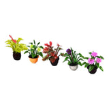 Max 5pcs Mini Garden Flower Pot Plant Doll House Miniatures Accessories 1:30