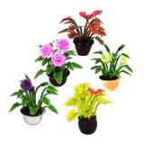 Max 5pcs Mini Garden Flower Pot Plant Doll House Miniatures Accessories 1:25