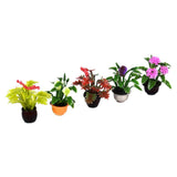 Max 5pcs Mini Garden Flower Pot Plant Doll House Miniatures Accessories 1:25