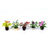 Max 5pcs Mini Garden Flower Pot Plant Doll House Miniatures Accessories 1:25