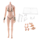 Max 1:6 Flexible Large Bust Female Seamless Body Dismantle Foot General Color