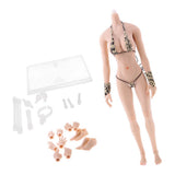 Max 1:6 Flexible Large Bust Female Seamless Body Dismantle Foot General Color