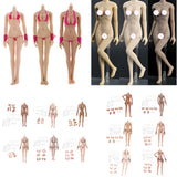 Max 1:6 Flexible Large Bust Female Seamless Body Dismantle Foot Pink Skin