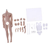 Max 1:6 Full Silicone Super Flexible Male Seamless Muscular Body General Skin
