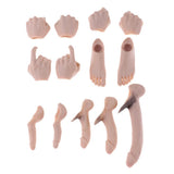 Max 1:6 Full Silicone Super Flexible Male Seamless Muscular Body General Skin