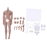 Max 1:6 Full Silicone Super Flexible Male Seamless Muscular Body General Skin