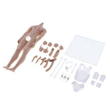 Max 1:6 Full Silicone Super Flexible Male Seamless Muscular Body General Skin