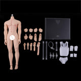 Max 1:6 Full Silicone Super Flexible Male Seamless Muscular Body General Skin