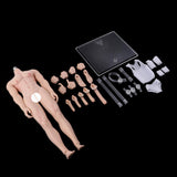 Max 1:6 Full Silicone Super Flexible Male Seamless Muscular Body General Skin