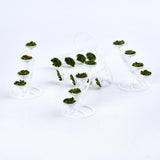 Maxbell 5pcs Miniatural Flower Shelf Triangle Dollhouse Garden Decor Kids Toy Gift 1:50