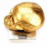 Maxbell Resin Creative Gold Human Head Money Box Saving Piggy Bank Halloween Gifts