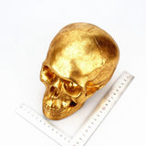 Maxbell Resin Creative Gold Human Head Money Box Saving Piggy Bank Halloween Gifts