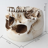 Maxbell Modern Resin Skull Head Flower Pot Planter Container for Home Garden Decor