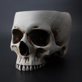 Maxbell Modern Resin Skull Head Flower Pot Planter Container for Home Garden Decor