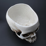 Maxbell Modern Resin Skull Head Flower Pot Planter Container for Home Garden Decor