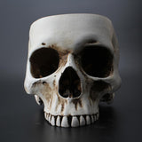 Maxbell Modern Resin Skull Head Flower Pot Planter Container for Home Garden Decor