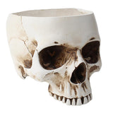 Maxbell Modern Resin Skull Head Flower Pot Planter Container for Home Garden Decor