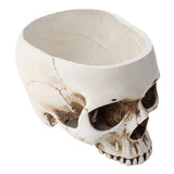 Maxbell Modern Resin Skull Head Flower Pot Planter Container for Home Garden Decor