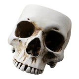 Maxbell Modern Resin Skull Head Flower Pot Planter Container for Home Garden Decor